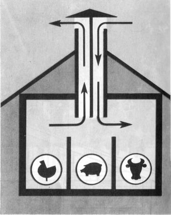 Схема вентиляции в помещении для скота и птицы