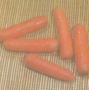 Морковь, сорт Витаминная