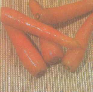 Морковь, сорт НИИОХ 336