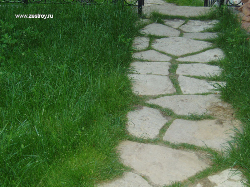Каменная дорожка и зеленая трава фото